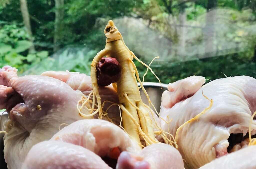 参鶏湯デー